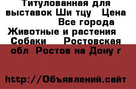 Титулованная для выставок Ши-тцу › Цена ­ 100 000 - Все города Животные и растения » Собаки   . Ростовская обл.,Ростов-на-Дону г.